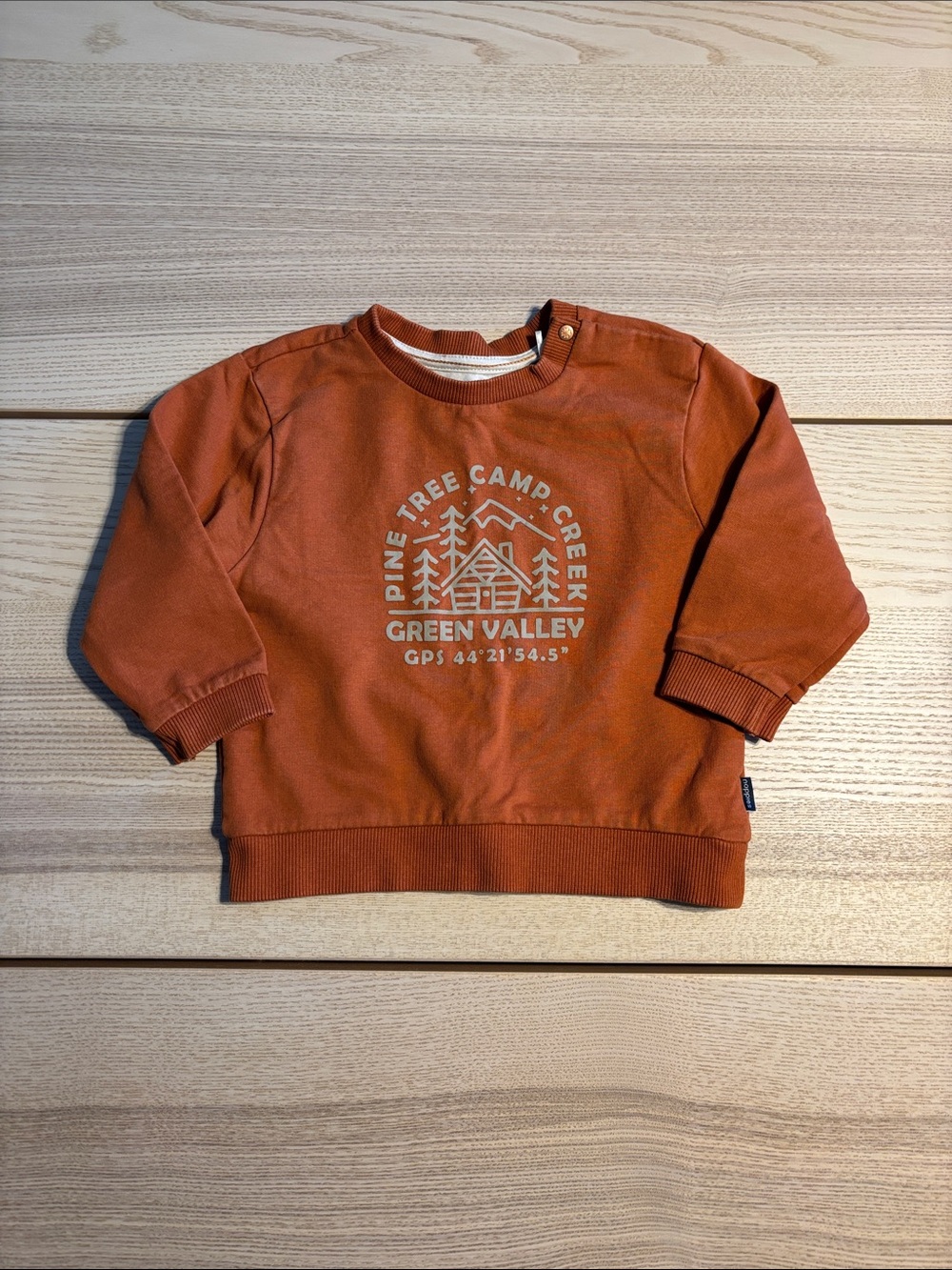 Noppies Rust Orange Pine Tree Camp Graphic Sweatshirt